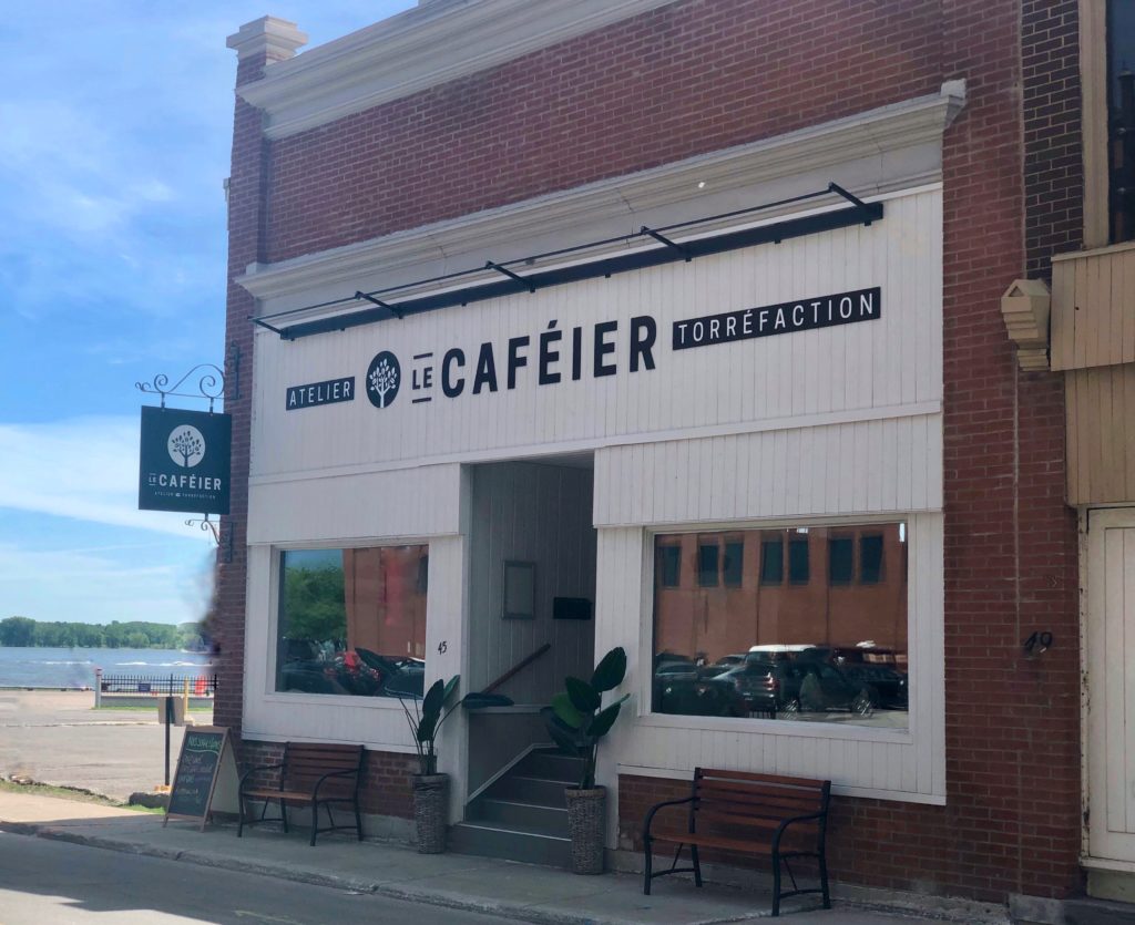 Le caféier
